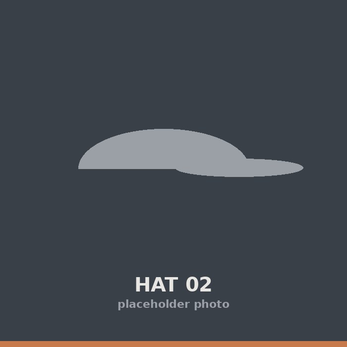 Hat 02