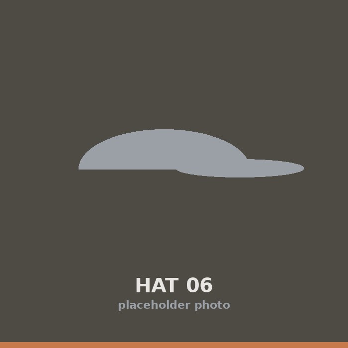 Hat 06